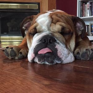 Meet your Posher, Brian